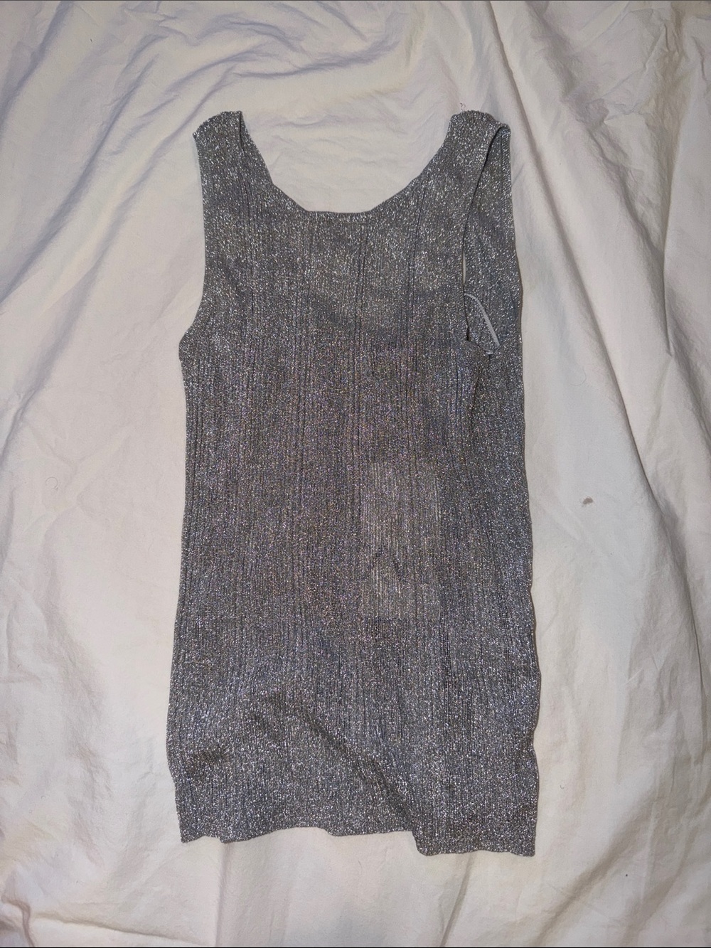 Zara Silver Metallic Ribbed Tank Top